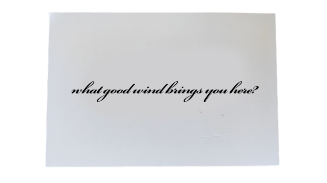 RM-allesguenstiger.eu