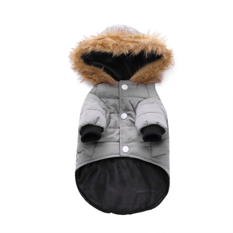 Winterkleidung für Haustiere