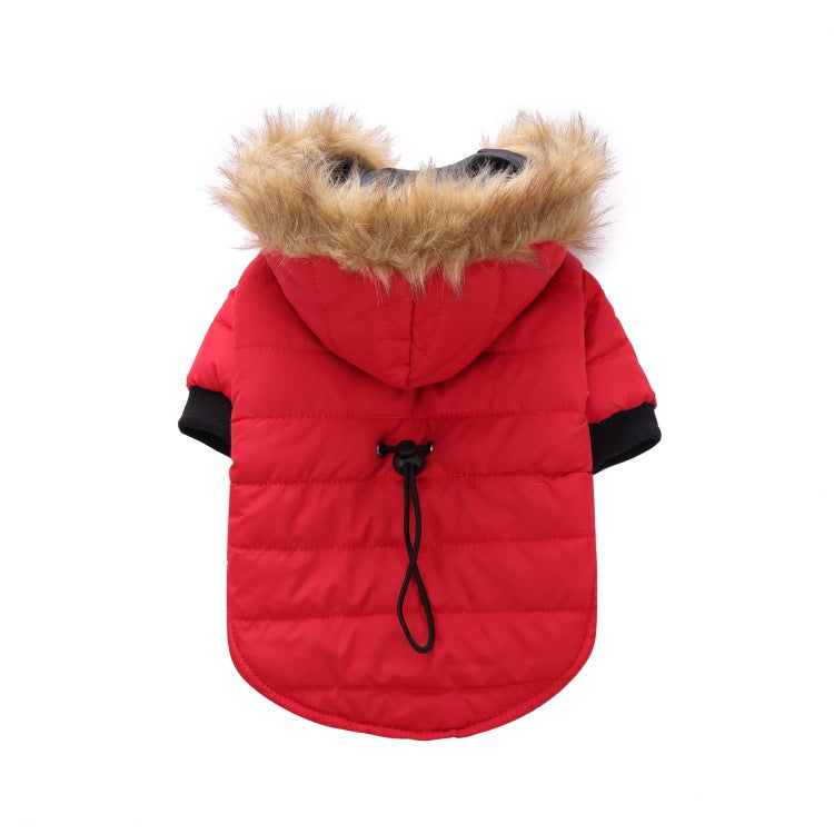 Winterkleidung für Haustiere