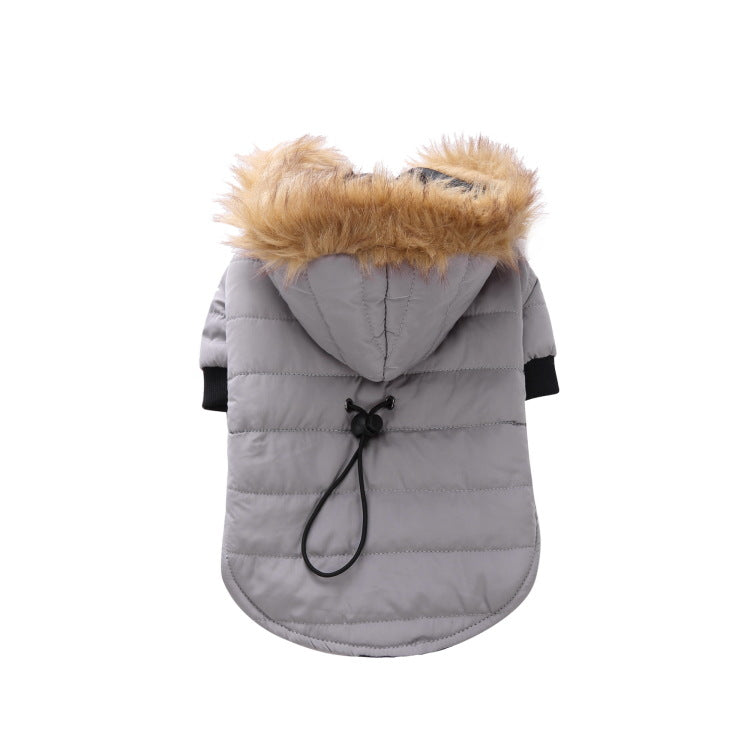 Winterkleidung für Haustiere