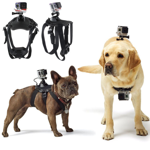 GoPro Hero Hundegurt-Gürtelgeschirr