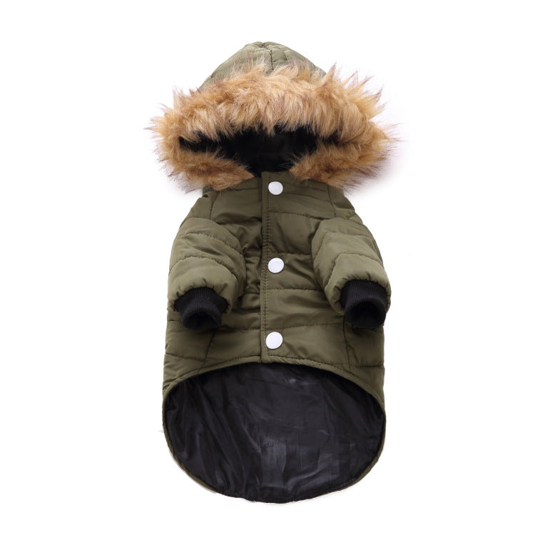 Winterkleidung für Haustiere