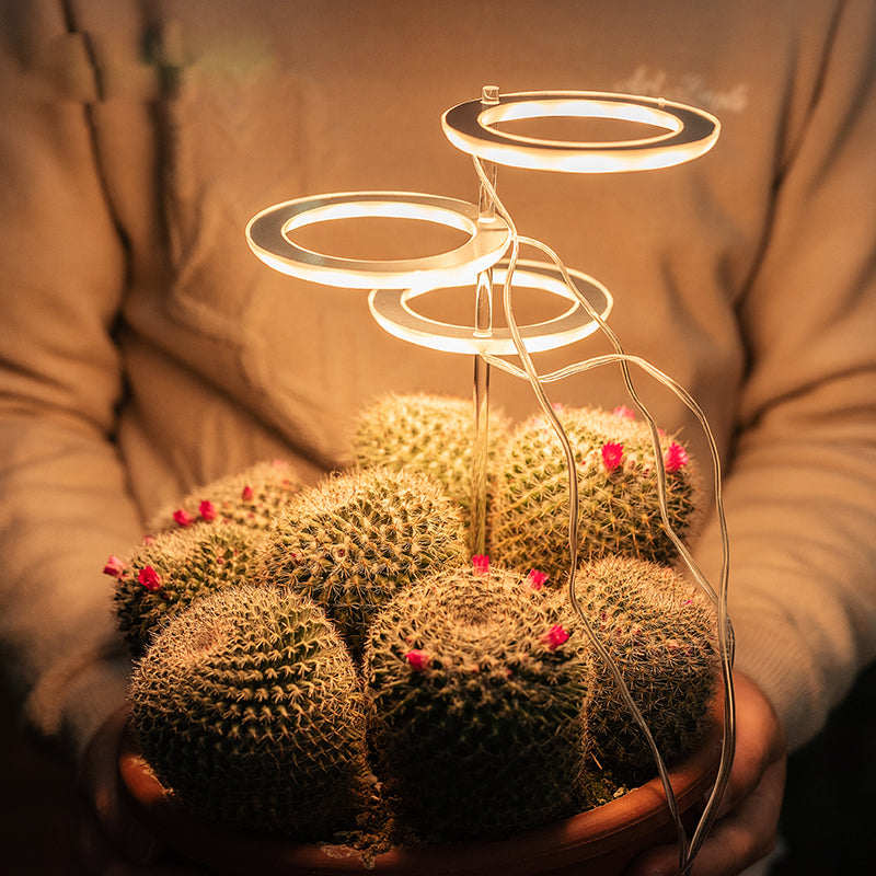 RM-allesguenstiger.eu