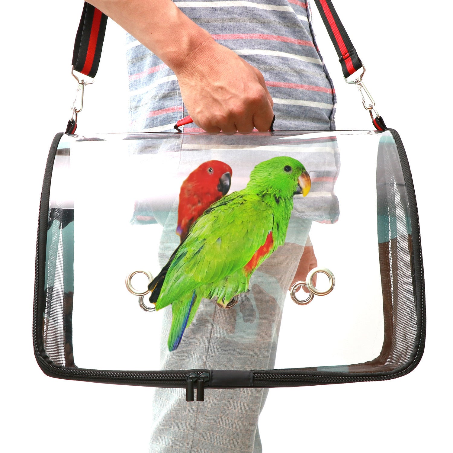 Transparenter Vogelkäfig aus PVC
