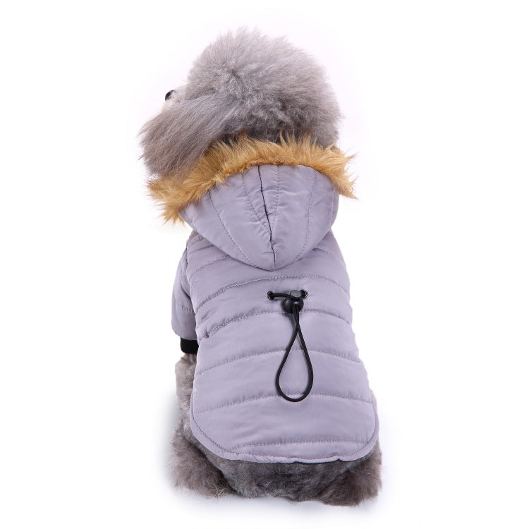 Winterkleidung für Haustiere