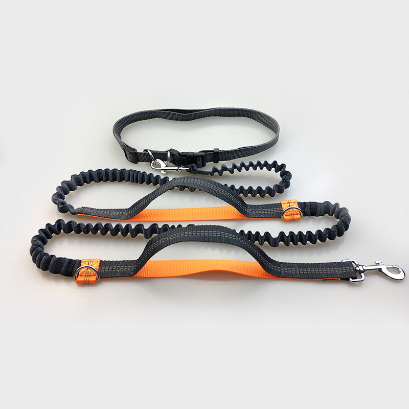 Amazon Direct Pet Supplies Multifunktions-Lauf-Hundeleine mit doppelter elastischer Zugleine und Traktion