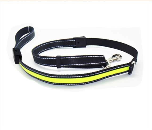 Fluoreszierendes Hundehalsband