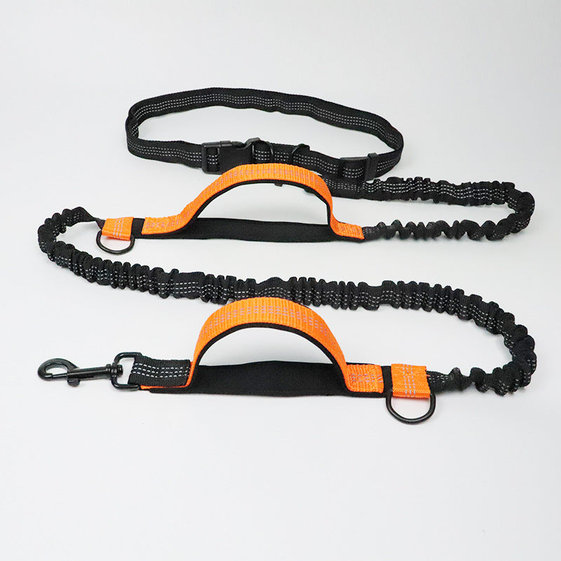 Amazon Direct Pet Supplies Multifunktions-Lauf-Hundeleine mit doppelter elastischer Zugleine und Traktion