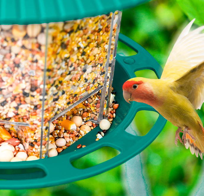 Transparenter Vogelfutterspender zum Aufhängen im Garten im Freien