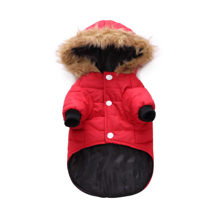 Winterkleidung für Haustiere