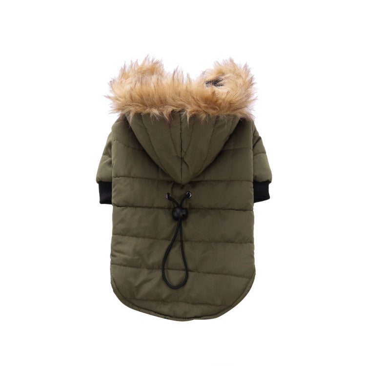 Winterkleidung für Haustiere