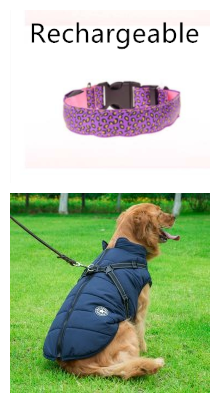 LED-Hundehalsband, sicher, verstellbares Nylon-Leoparden-Haustierhalsband