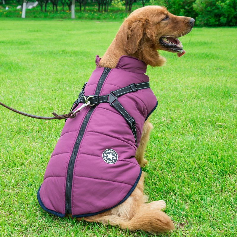 Haustier-Hundekleidung für kleine Hunde, warme Winter-Hundemanteljacke mit Kapuze, Chihuahua-Mops-Outfits, Welpen- und Katzenkleidung
