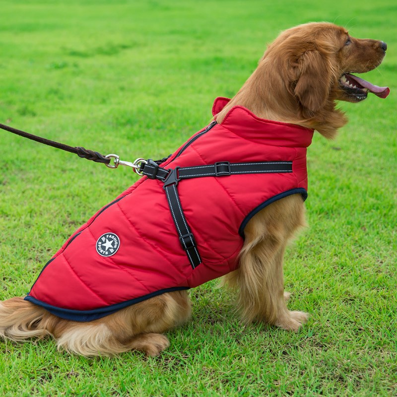 Haustier-Hundekleidung für kleine Hunde, warme Winter-Hundemanteljacke mit Kapuze, Chihuahua-Mops-Outfits, Welpen- und Katzenkleidung