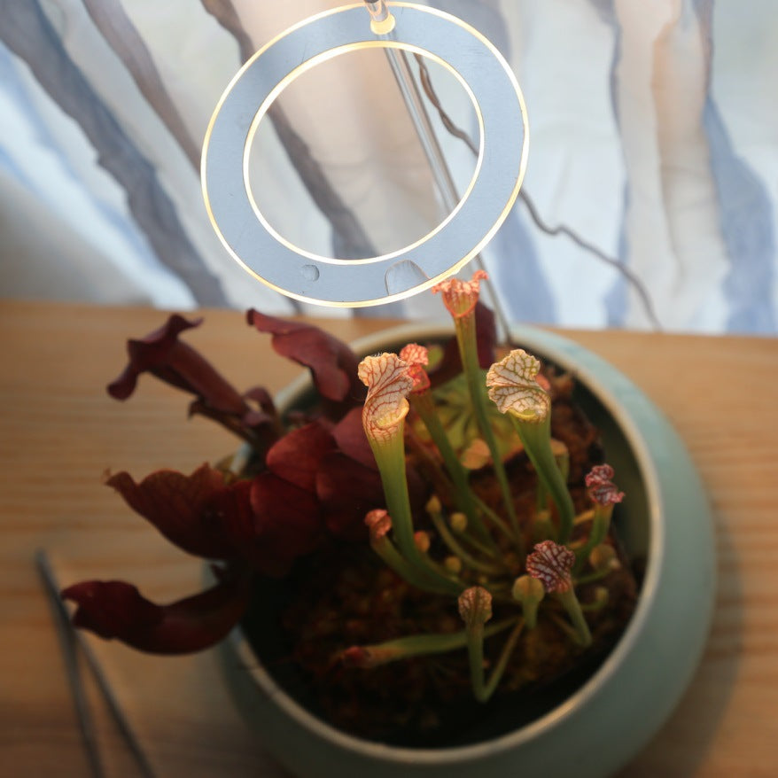 RM-allesguenstiger.eu