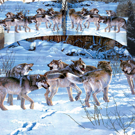 Gebürstetes, vierteiliges 3D-Set