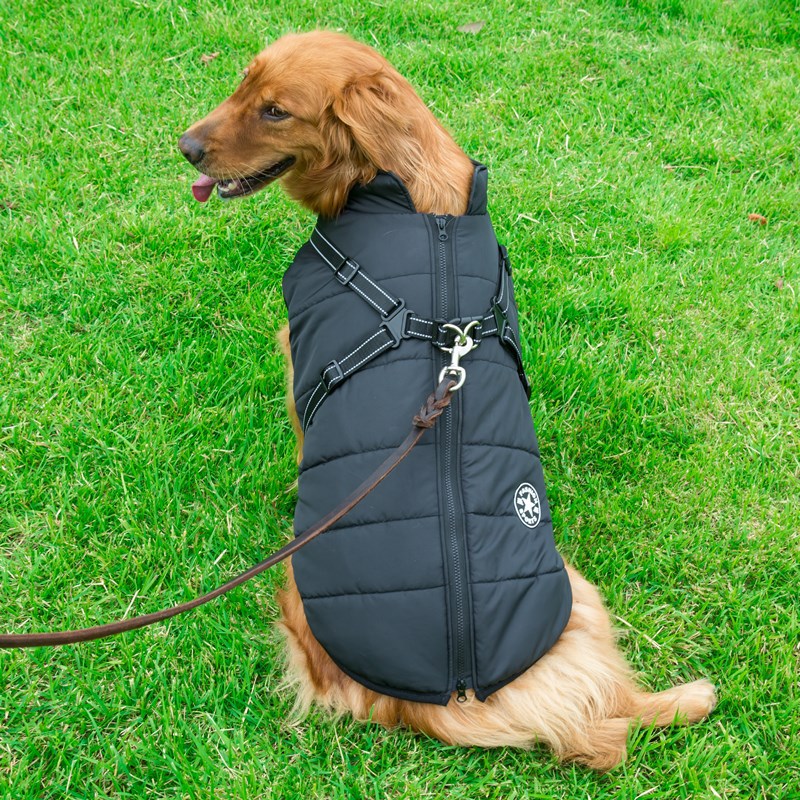 Haustier-Hundekleidung für kleine Hunde, warme Winter-Hundemanteljacke mit Kapuze, Chihuahua-Mops-Outfits, Welpen- und Katzenkleidung