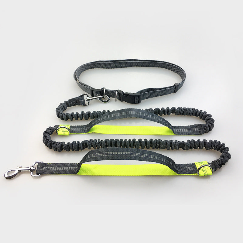 Amazon Direct Pet Supplies Multifunktions-Lauf-Hundeleine mit doppelter elastischer Zugleine und Traktion