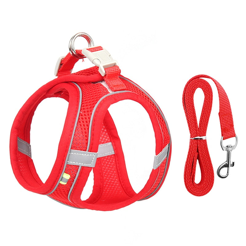 Hundegeschirr-Leine-Set für kleine Hunde, verstellbares Welpen-Katzengeschirr, Weste, französische Bulldogge, Chihuahua, Mops, Outdoor-Walking-Leine