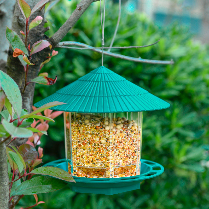 Transparenter Vogelfutterspender zum Aufhängen im Garten im Freien