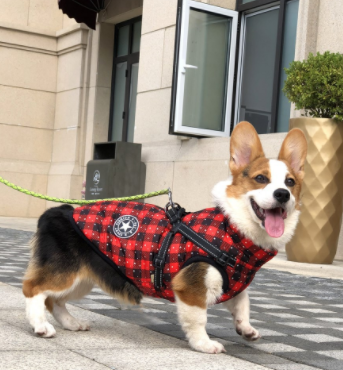 Haustier-Hundekleidung für kleine Hunde, warme Winter-Hundemanteljacke mit Kapuze, Chihuahua-Mops-Outfits, Welpen- und Katzenkleidung